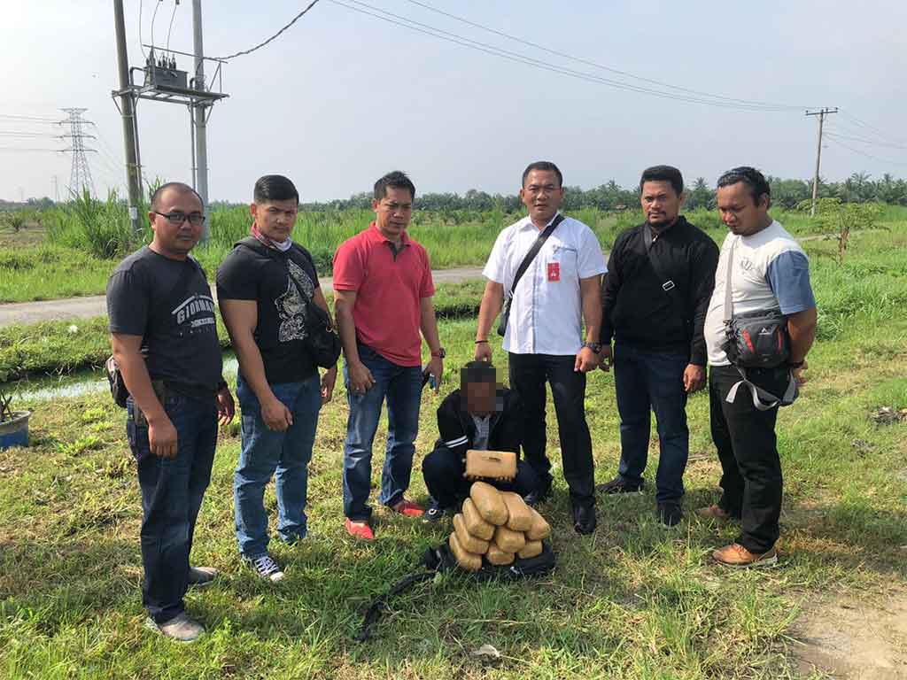 Pelaku Ganja di Langkat