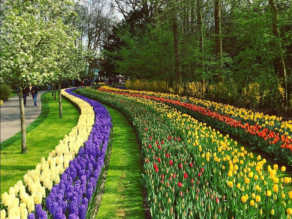 Taman Bunga Keukenhof di Amsterdam