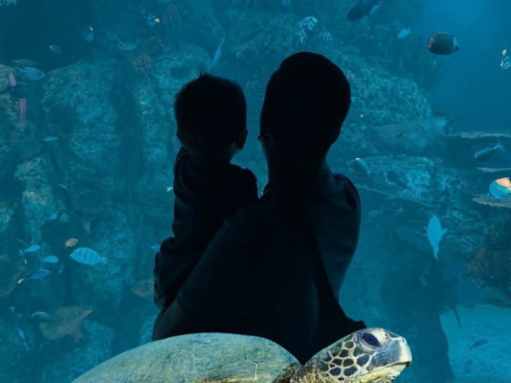 Aquarium Jakarta