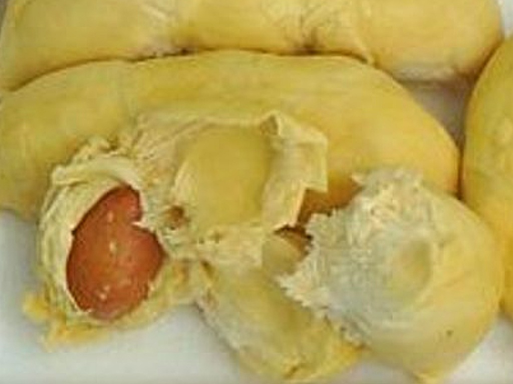 Biji Durian
