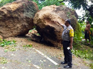Ikan Bertato Ambon Terbalik Gemparkan Warga Maluku Tagar