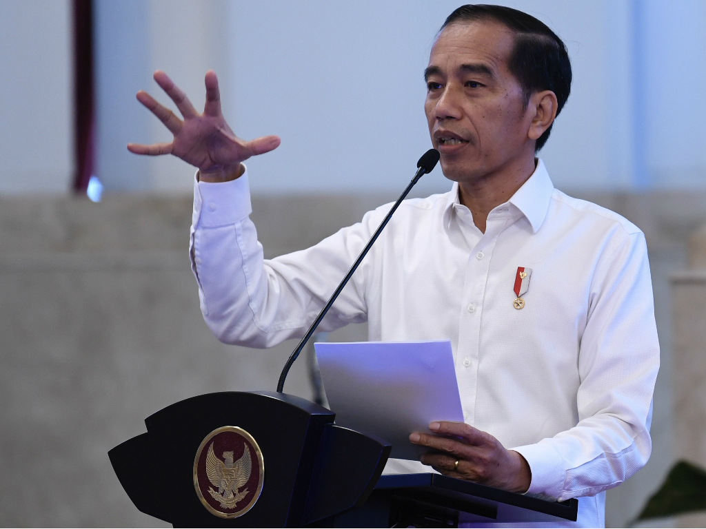 Jokowi Palapa Ring