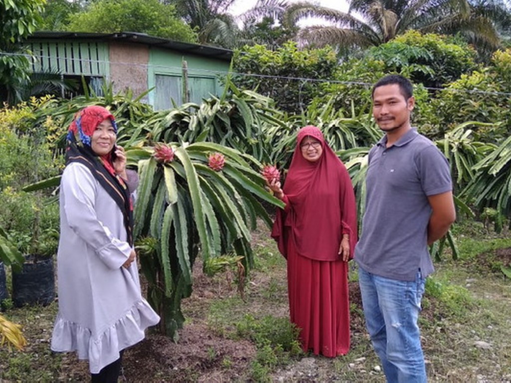 Deni Buah Aceh