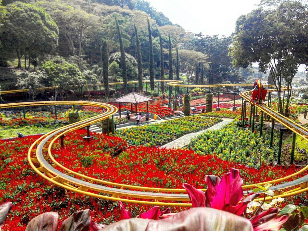 Lima Wisata Taman Bunga Paling Romantis di Indonesia Tagar