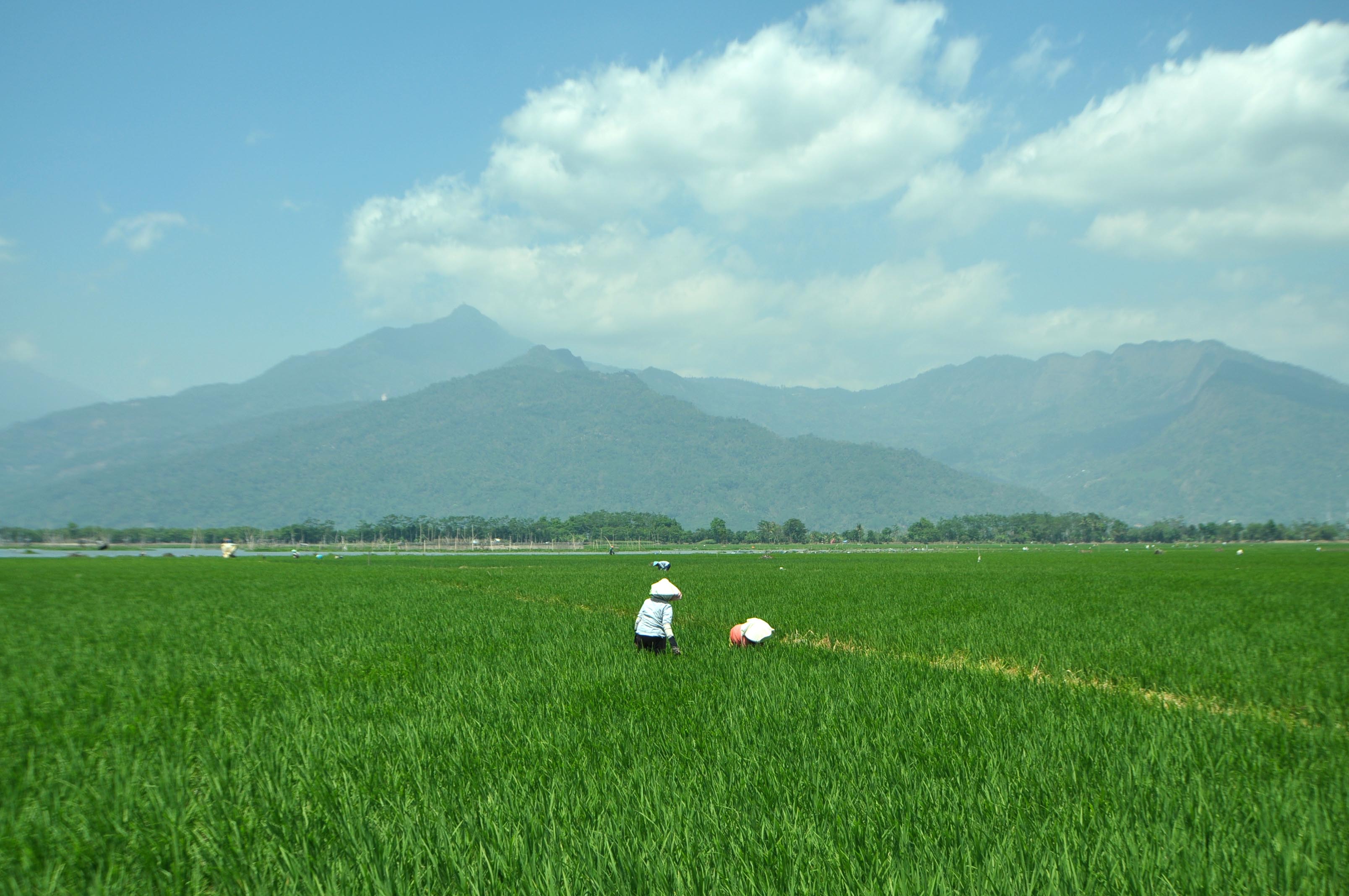 Pariwisata di Ambarawa