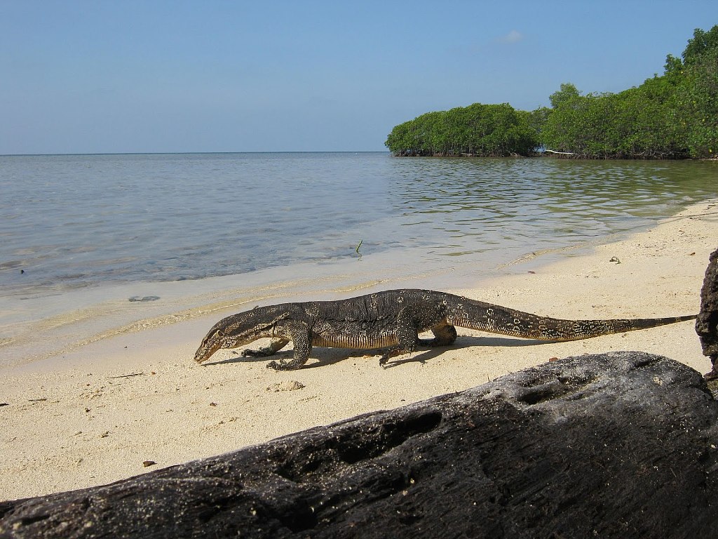 Pulau Biawak Indramayu