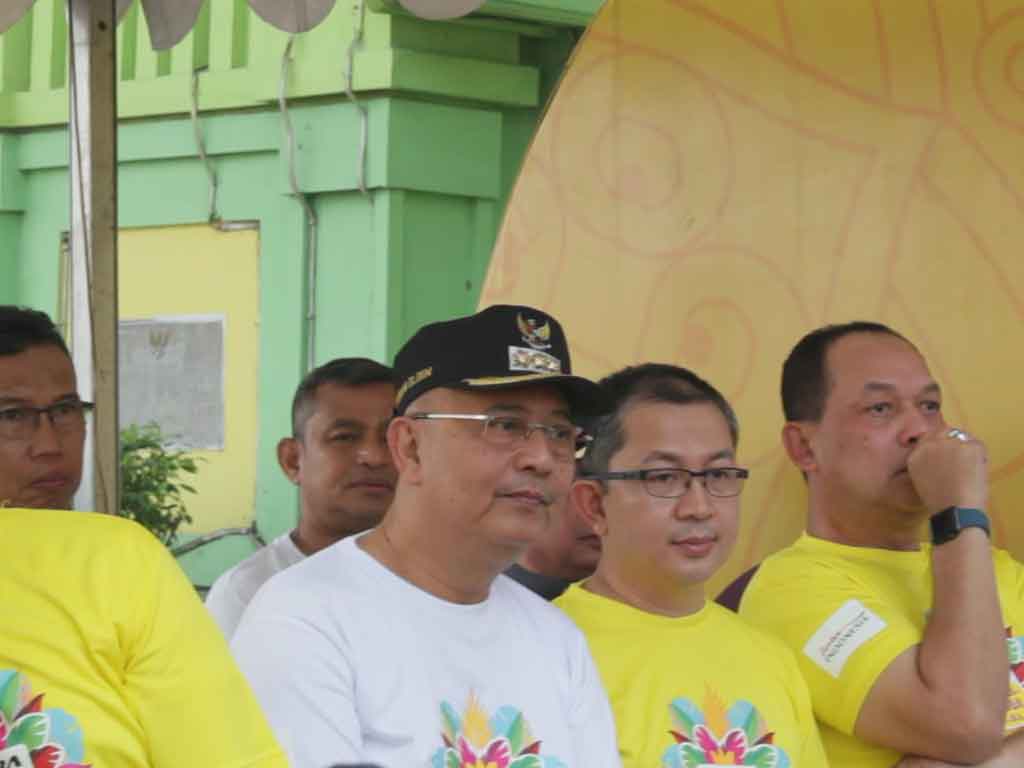 Wali Kota Dzulmi Eldin
