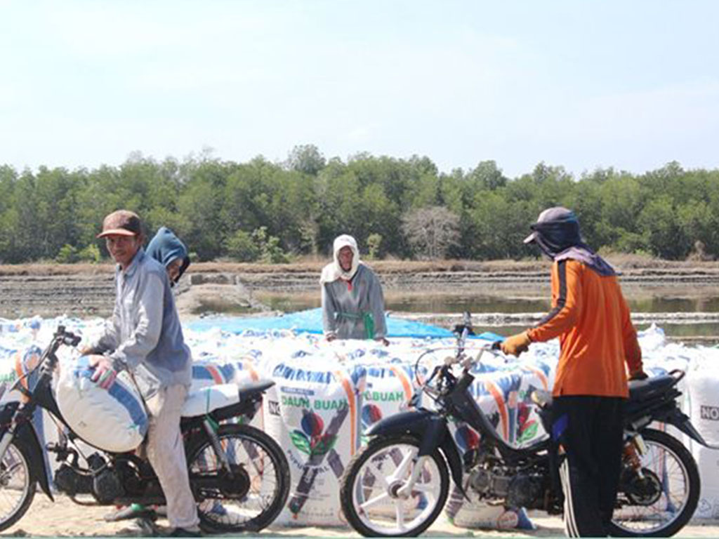 Petani Garam