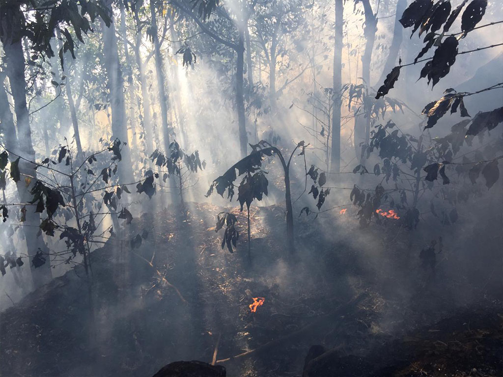 Kebakaran hutan di Jeneponto