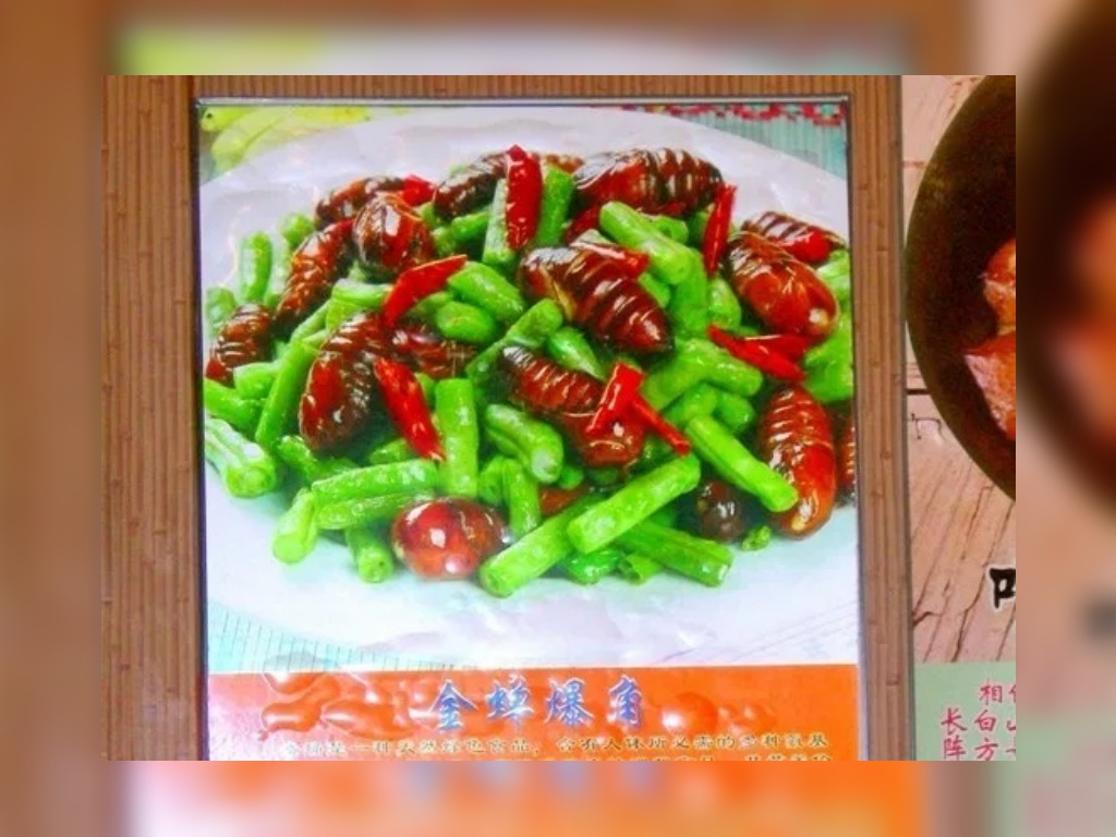 Tumis Serangga