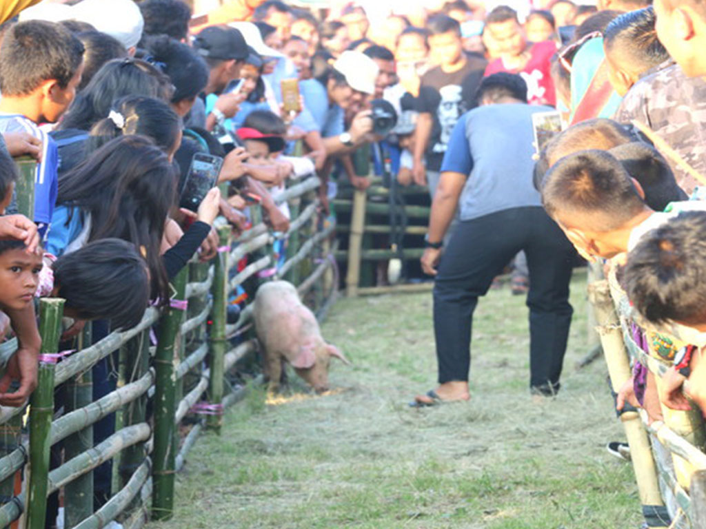 Toba Festival