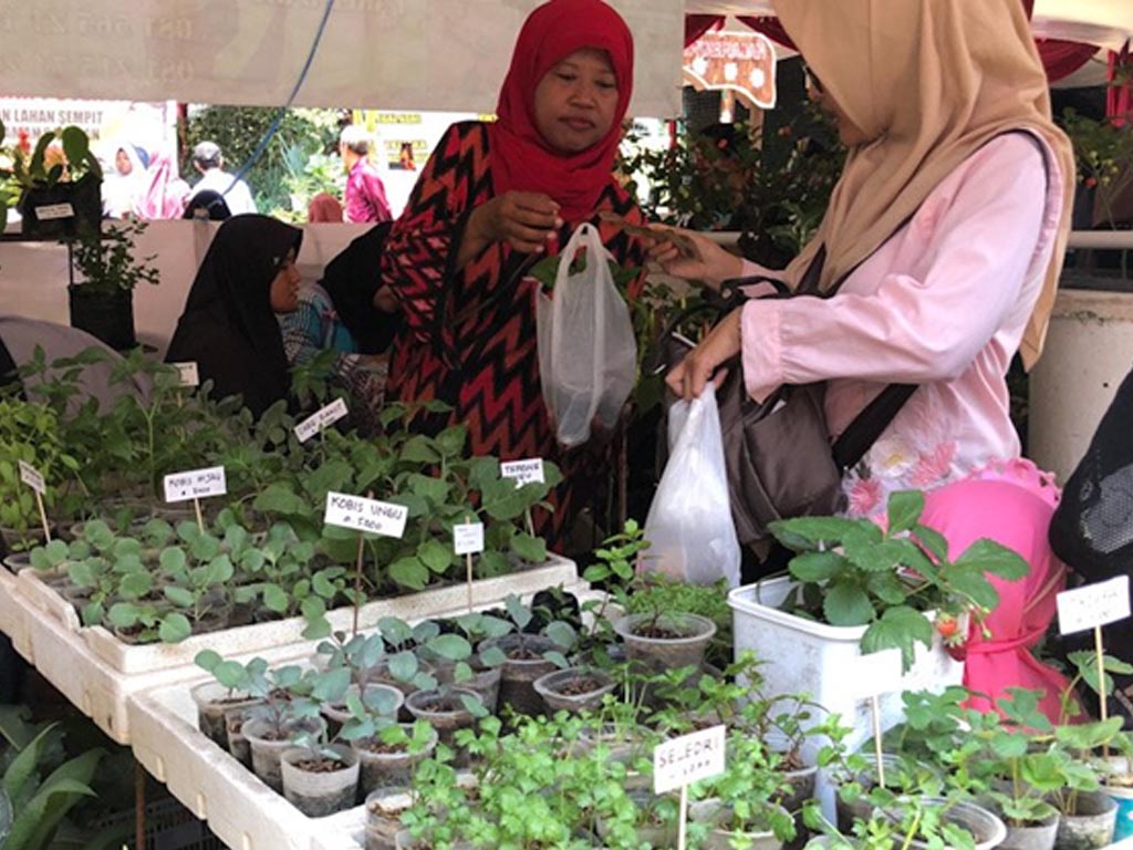 Pemkot Yogyakarta Dorong Warga Buat Taman Sayur - Tagar News