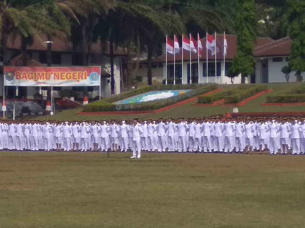 IPDN