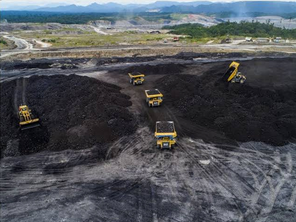 Melihat Empat Perusahaan Batu Bara Raksasa di Kalimantan