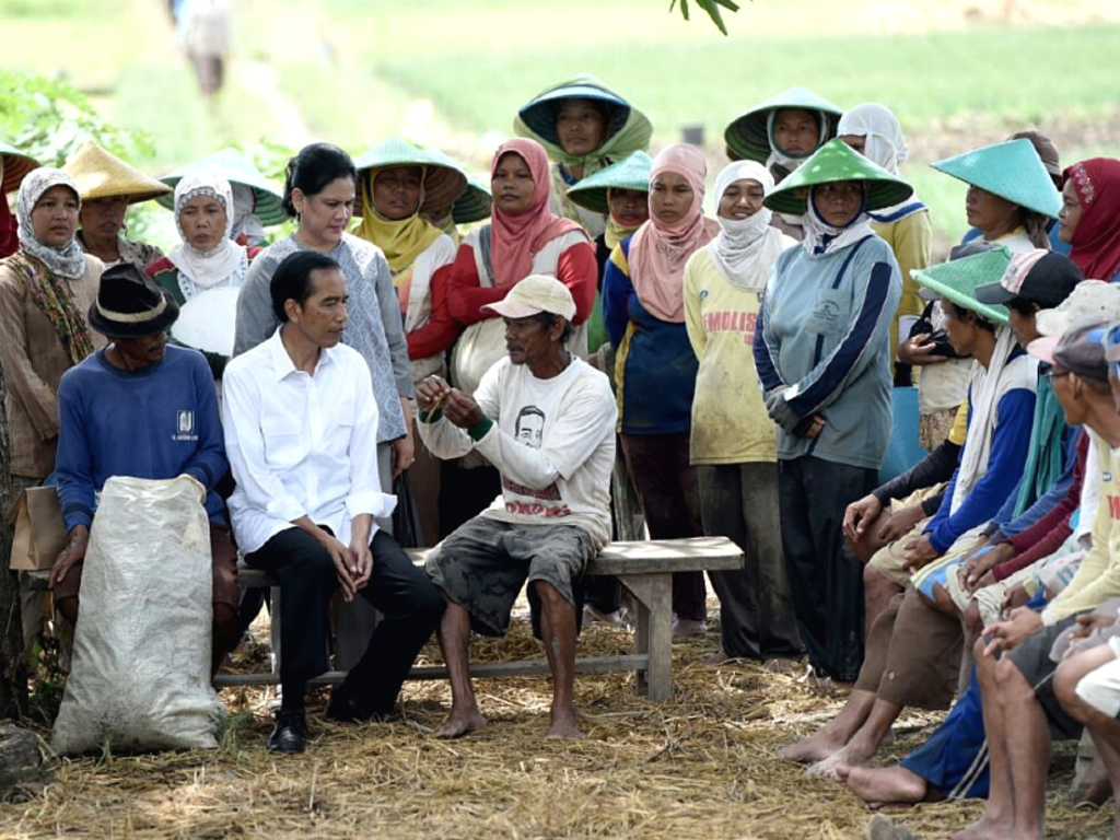 Jokowi Desa