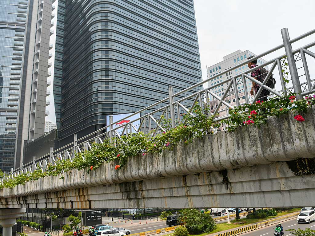 Jembatan Jakarta