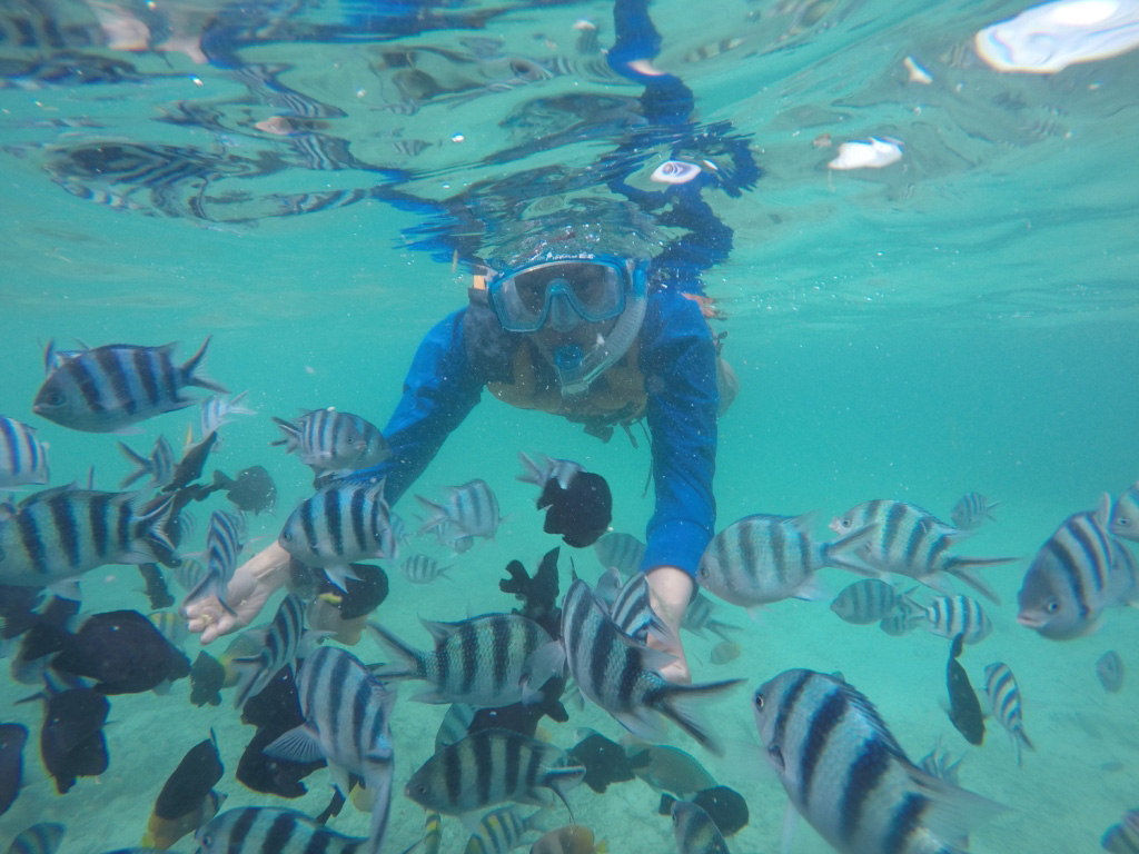 Taman Wisata Laut Karimunjawa