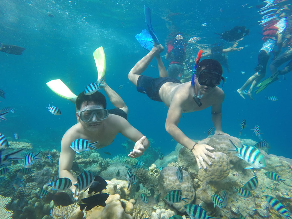 Taman Wisata Laut Pulau Menjangan