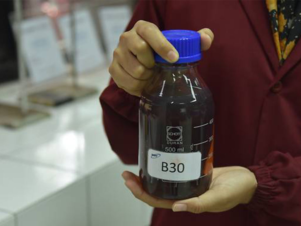 Biodiesel B30
