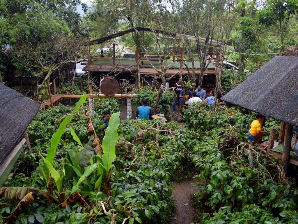 Galeri Kopi Aceh