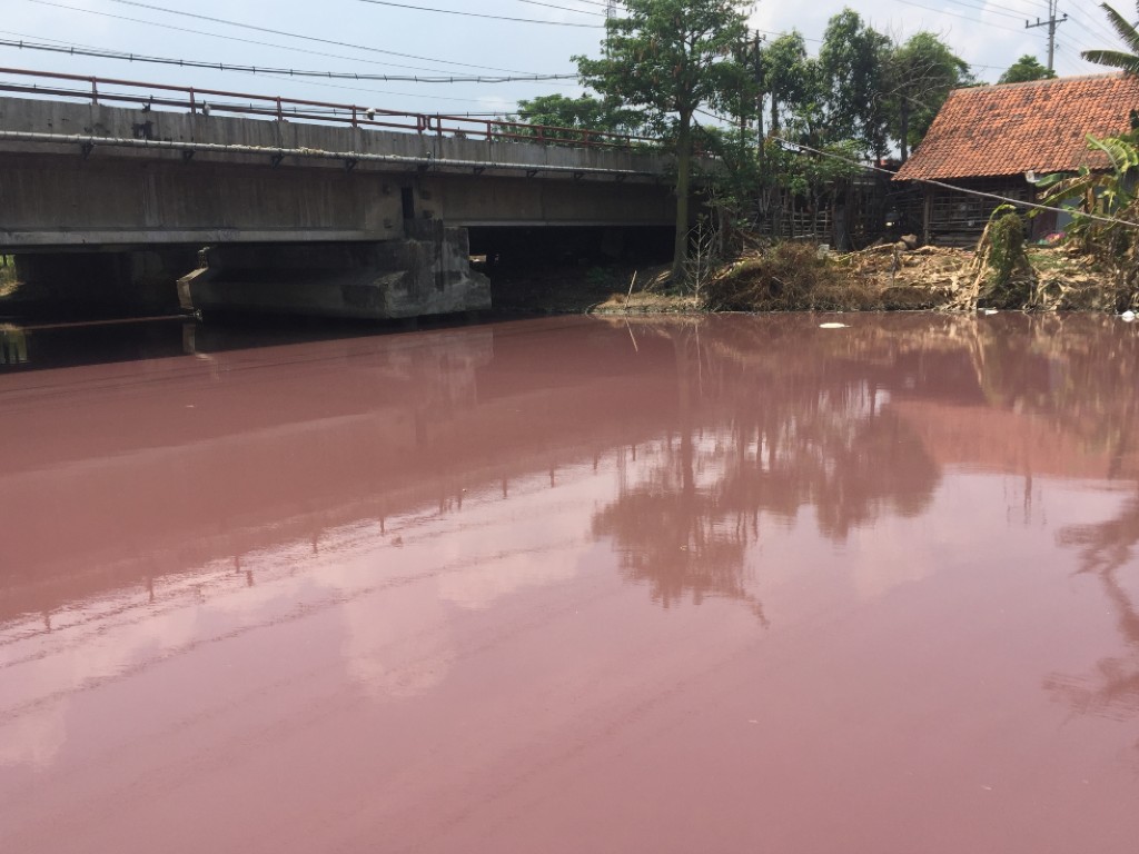 sungai tercemar