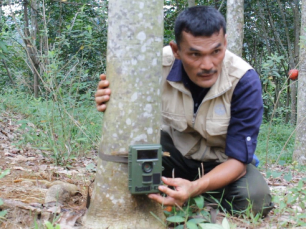 Kamera Trap