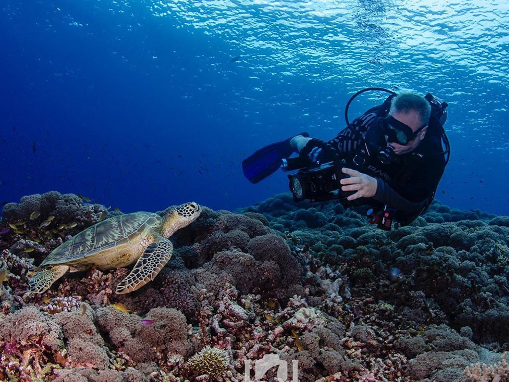 Tubbataha Reef