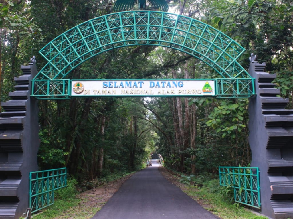 Taman Nasional Alas Purwo