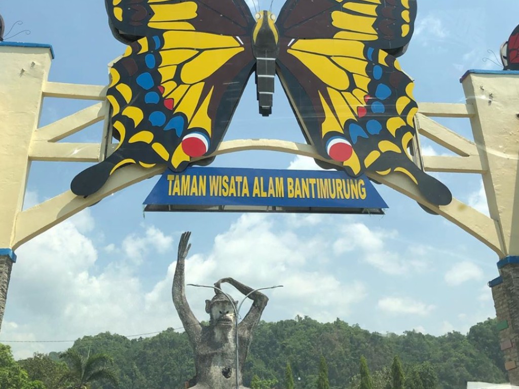 Taman Kupu-kupu Bantimurung