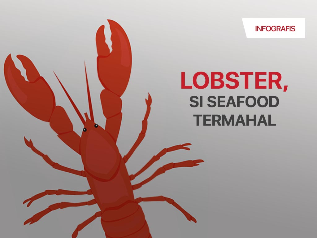 Infografis Cover: Ekspor Lobster