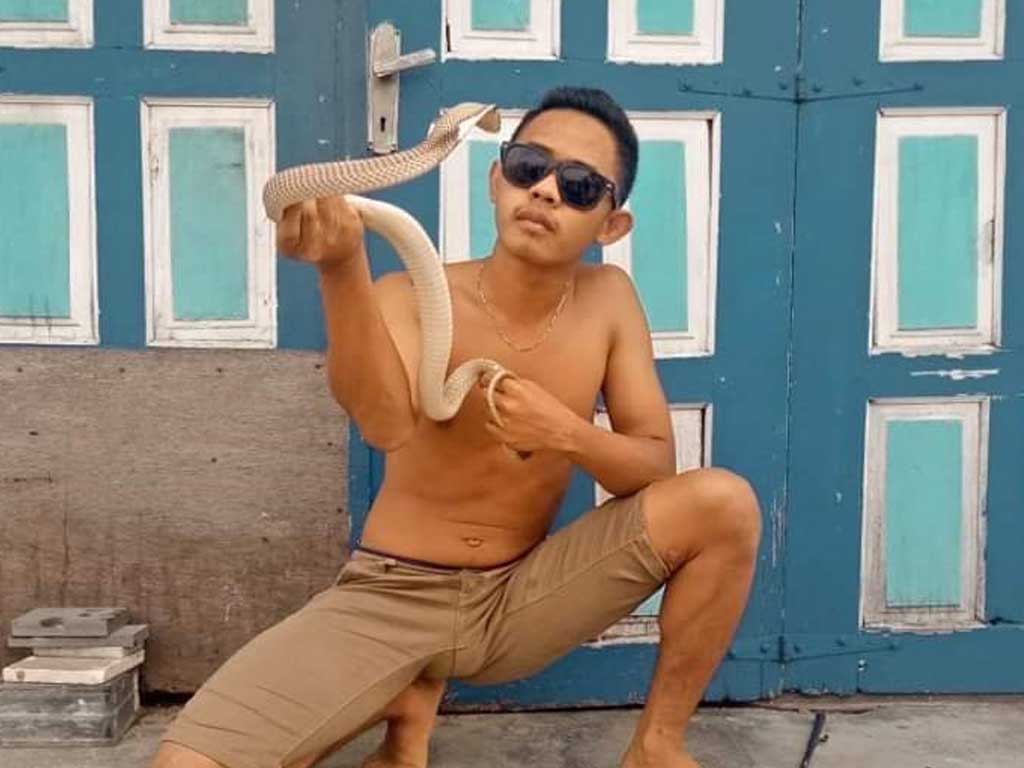 Ichwan Reptil