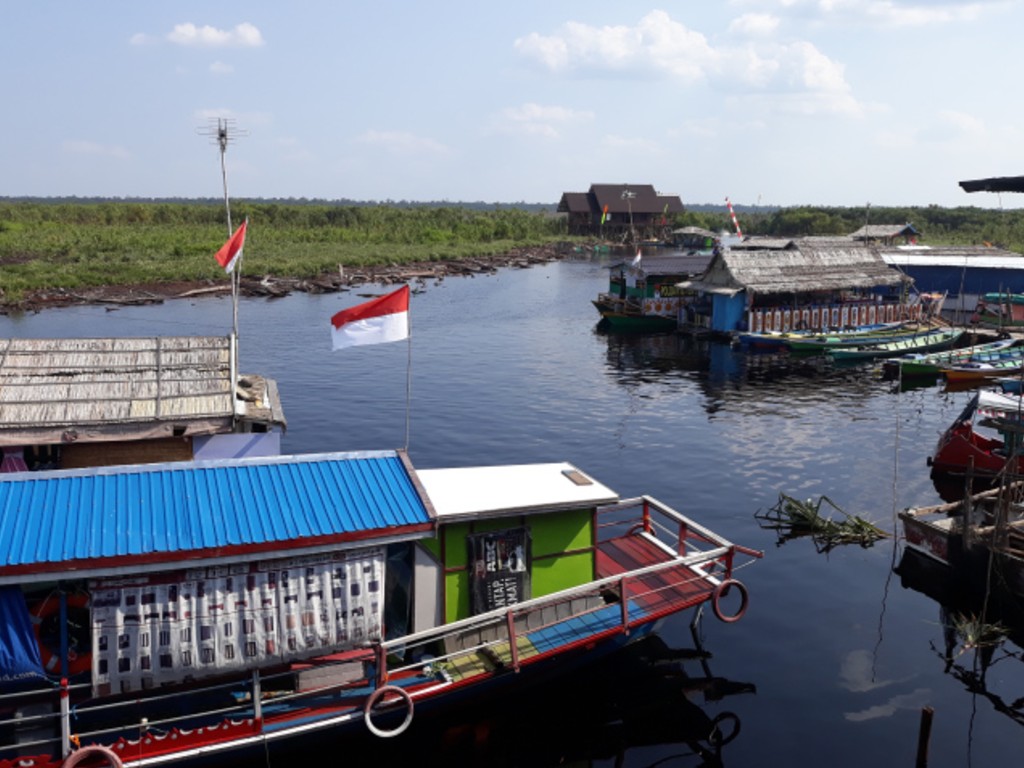 Danau Sebangau