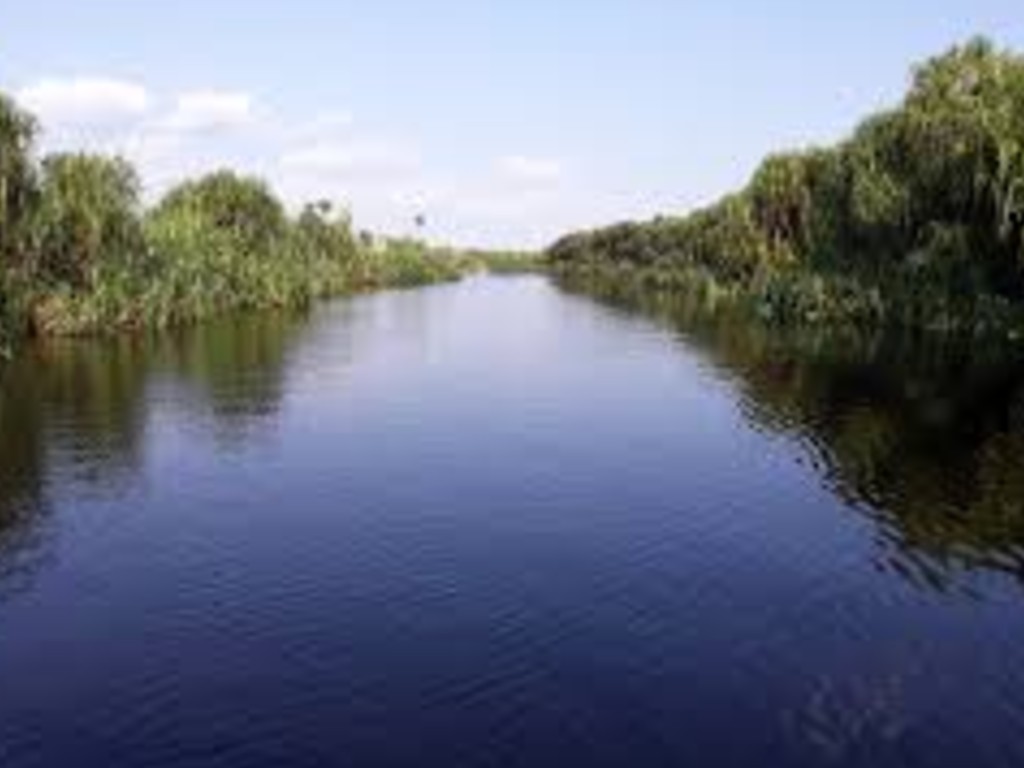 Danau Sebangau dengan Tumbuhan Rasau