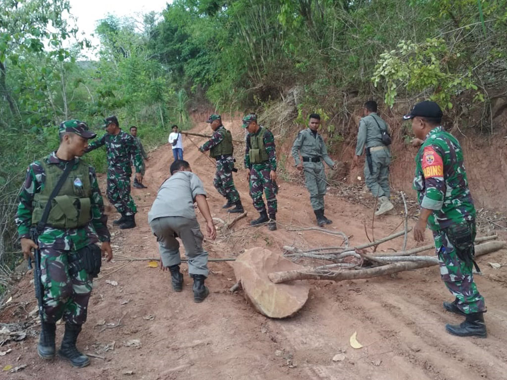 Penangkapan Pelaku Perambahan Hutan