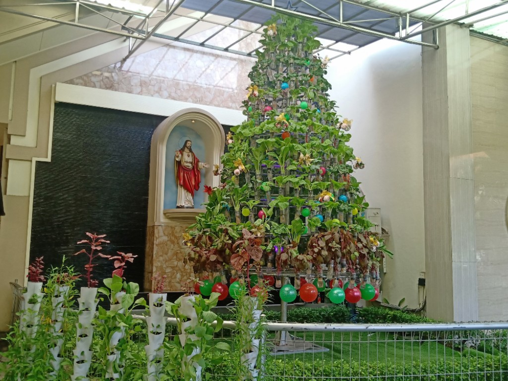 Pohon Natal Hidroponik