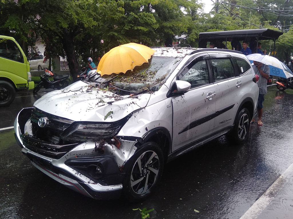 Mobil Tertimpa Pohon Tumbang