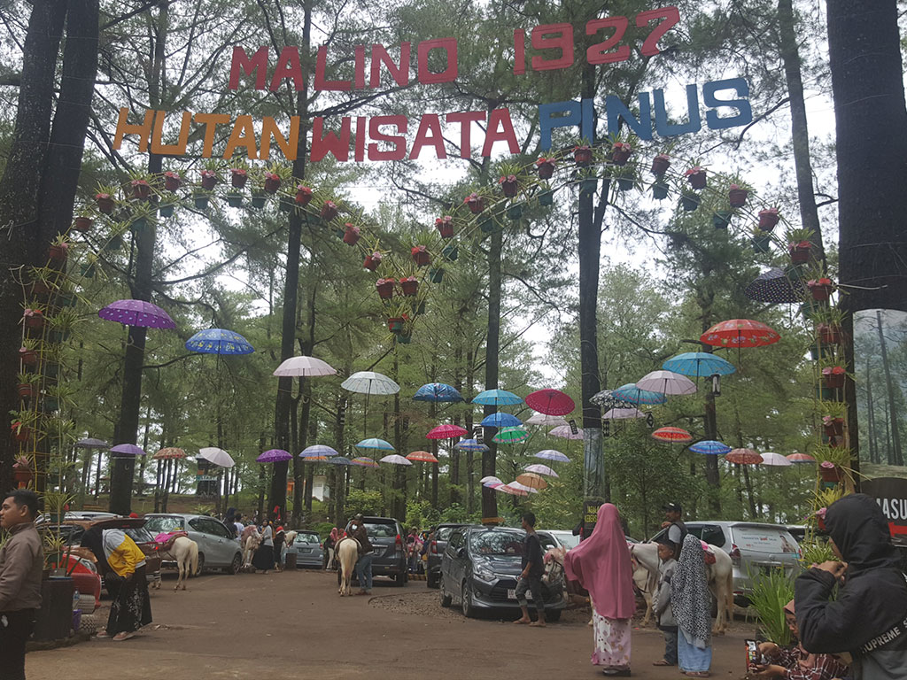Foto Liburan di Malino Saat Hujan