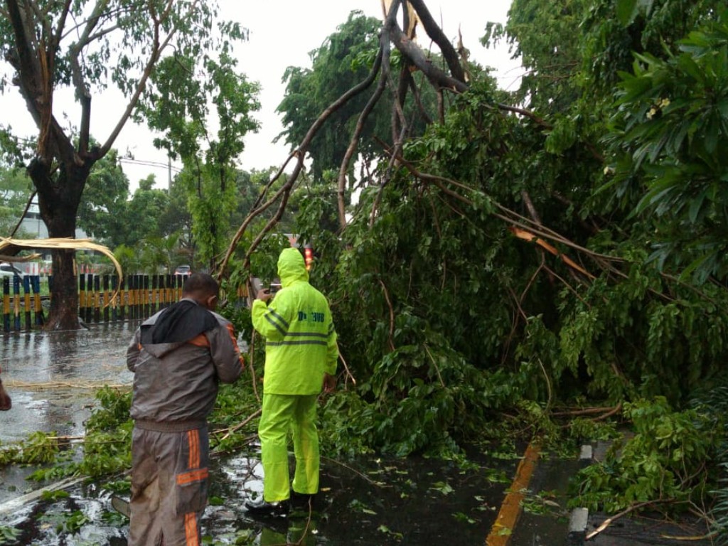 29 Penyulang PLN Gangguan, Listrik di Surabaya Padam | Tagar