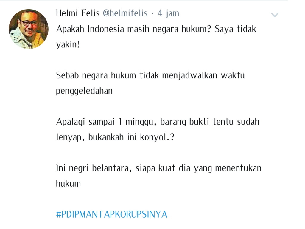 Tweet Helmi Felis