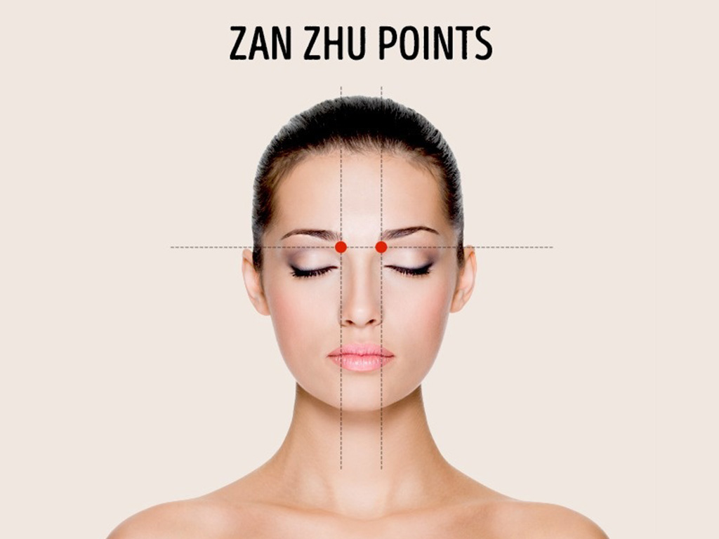 Zan Zhu Points