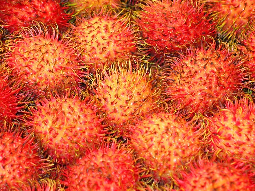 Rambutan