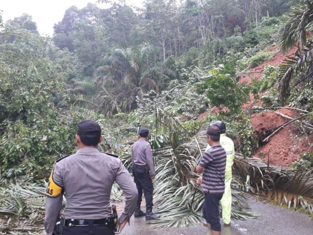 Jalinsum Kabupaten Sijunjung