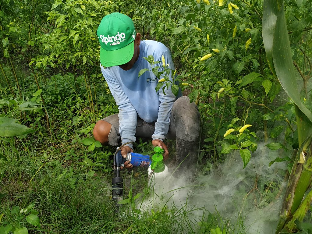 Petani Kediri