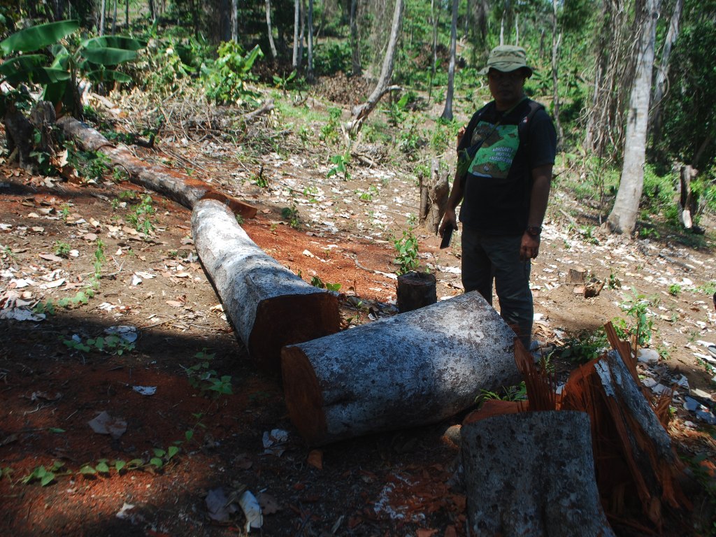Deforestasi Hutan Lindung