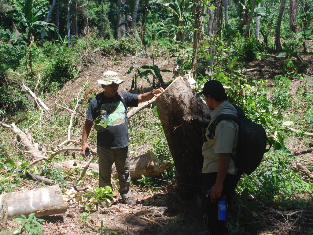 Deforestasi Hutan Lindung