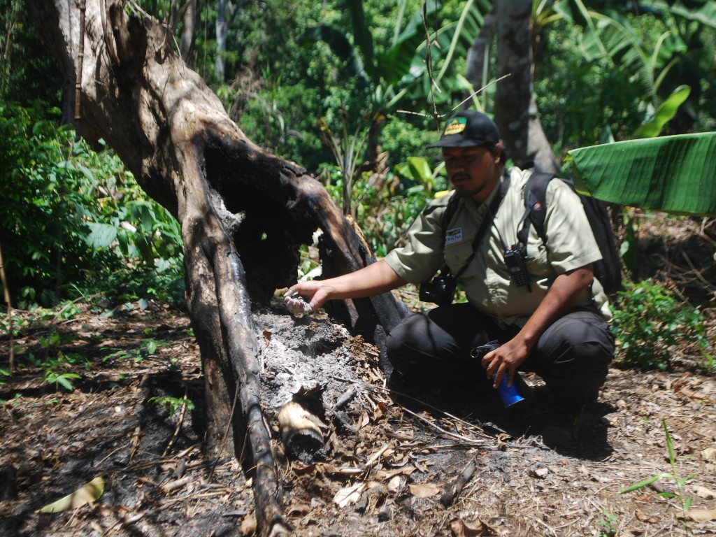 Deforestasi Hutan Lindung