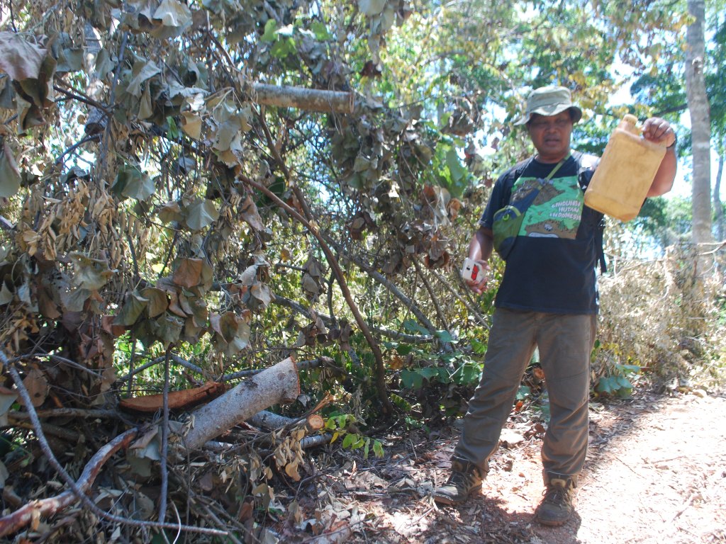 Deforestasi Hutan Lindung