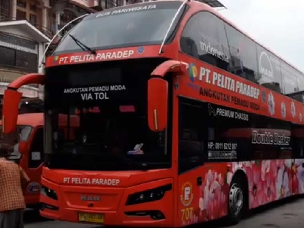 Bus Paradep
