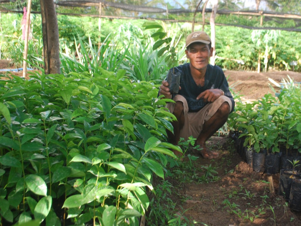 Penjaga Hutan