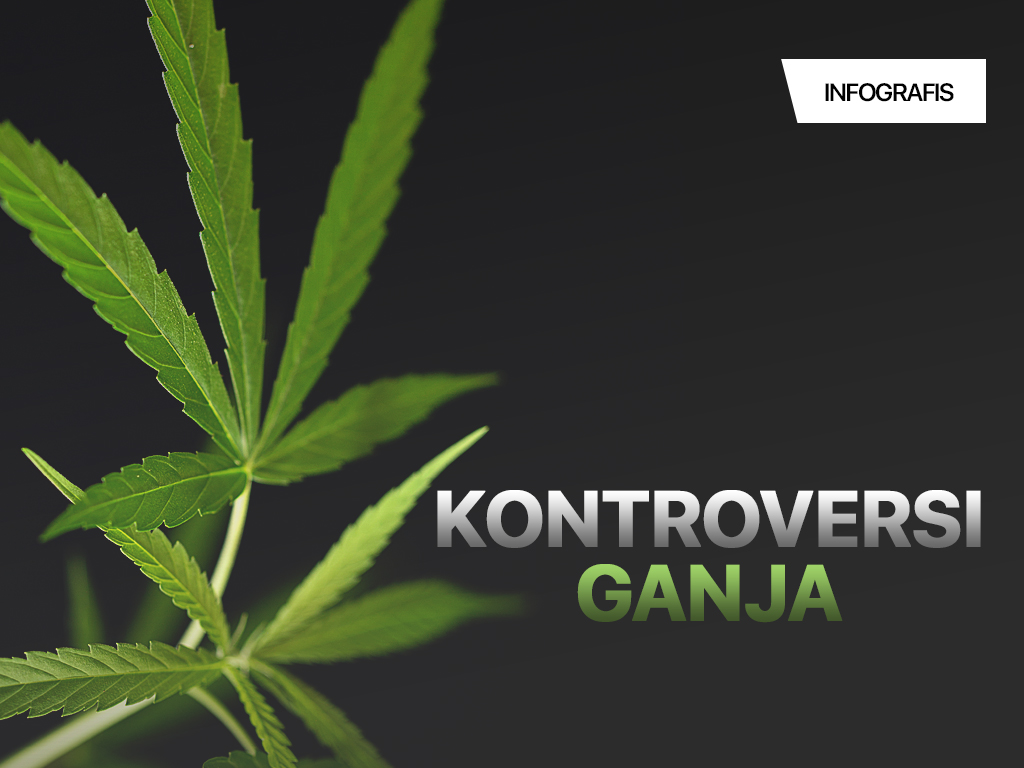 Infografis Cover: Kontroversi Ganja